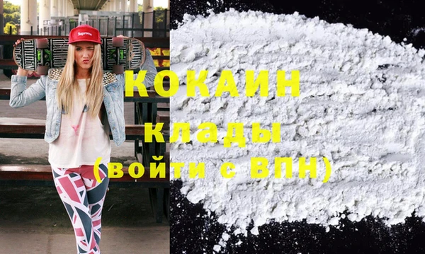 дурь Новодвинск